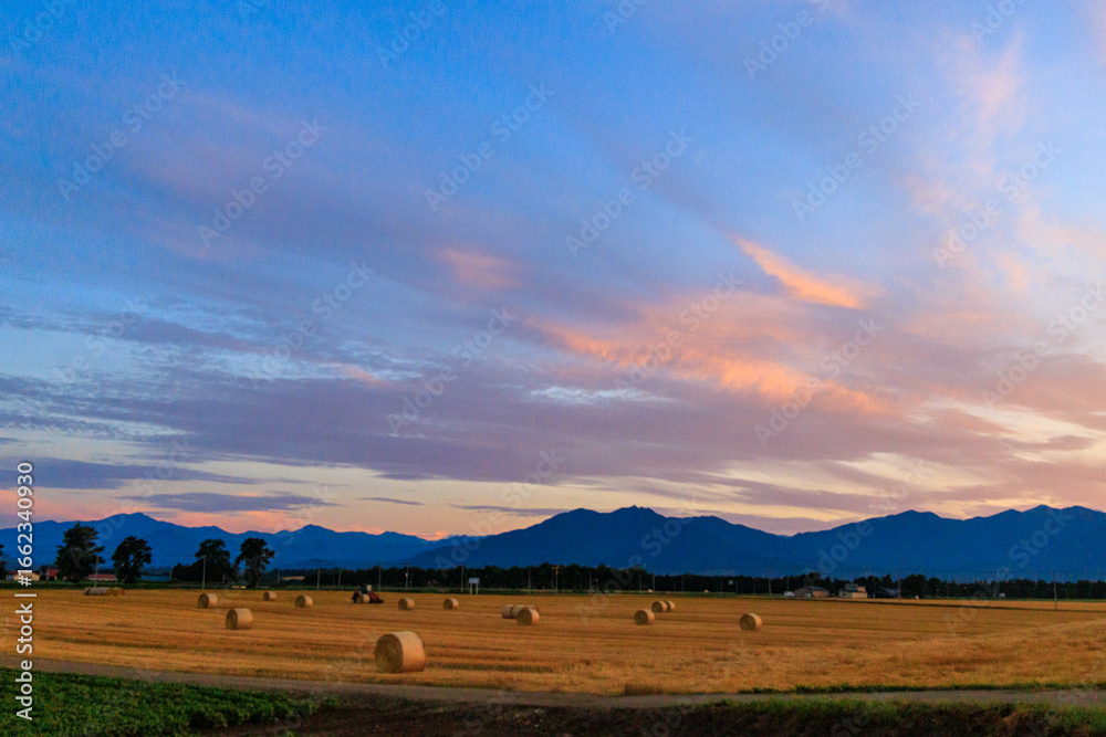 Obraz premium 夕焼け