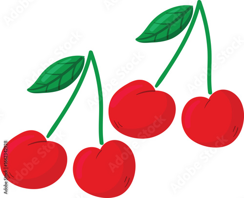 cherry vector illustration