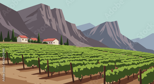 Vineyard harvesting event mountain region illustration rural landscape aerial view agricultural concept. Vector illustration
