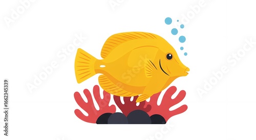 Tropical Yellow Tang Design