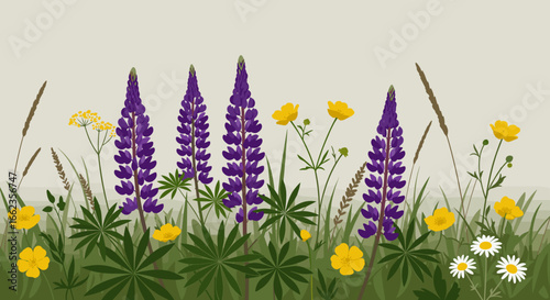 Vibrant wildflower bloom meadow illustration natural setting close-up floral beauty. Vector illustration