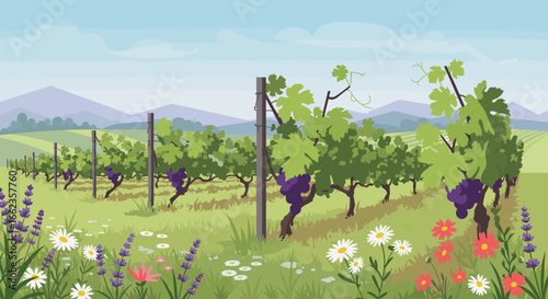 Vineyard harvesting grapes countryside landscape digital illustration calm environment wide angle nature's bounty. Vector illustration
