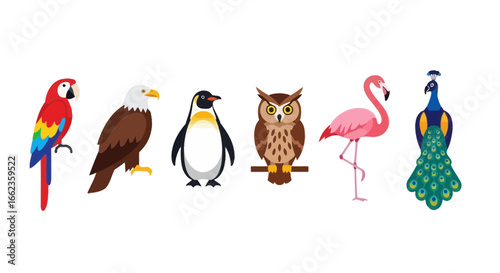 Vibrant collection of colorful birds including a parrot, eagle, penguin, owl, flamingo, and peacock, perfect for diverse design projects
