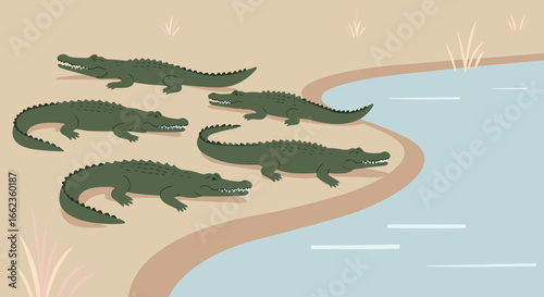 Crocodiles sunbathing by the water riverbank habitat digital illustration serene environment close-up view wildlife concept. Vector illustration