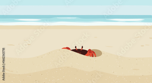 Crab emerging from sand beach illustration coastal environment close-up view marine life concept. Vector illustration