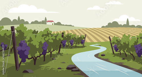 Vineyard harvesting grapes rural countryside digital illustration tranquil landscape aerial view nature's bounty. Vector illustration