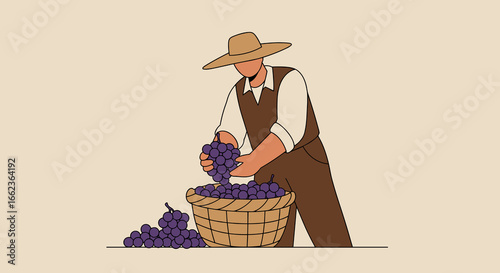 Harvesting grapes vineyard illustration rural close-up agriculture techniques for sustainable farming. Vector illustration