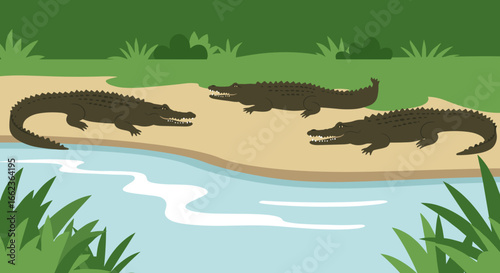 Crocodiles sunbathing by the riverbank natural habitat wildlife photography lush green environment close-up view. Vector illustration