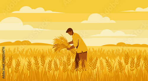 Harvesting wheat agricultural field digital illustration rural landscape side view farming concept. Vector illustration