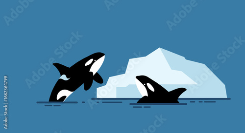 Orcas jumping near iceberg arctic ocean animated scene blue water dynamic view marine life awareness. Vector illustration