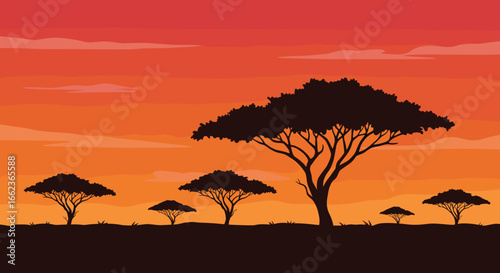 Silhouette of acacia trees against a vibrant sunset nature scene landscape photography tranquil environment. Vector illustration