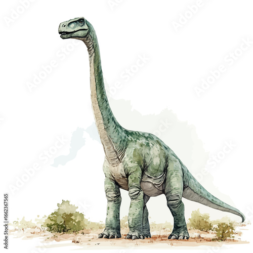 Brachiosaurus, watercolor vector, isolated on a white background.