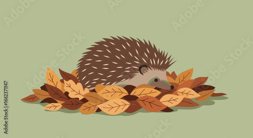 Hedgehog exploring autumn leaves in a nature scene illustration warm color palette close-up view. Vector illustration