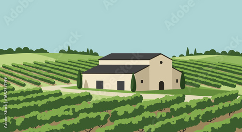 Exploring vineyard life scenic winery napa valley illustration serene environment aesthetic viewpoint. Vector illustration
