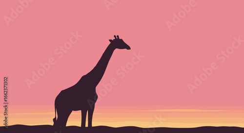 Giraffe silhouette at sunset nature scene wildlife photography serene landscape peaceful view. Vector illustration