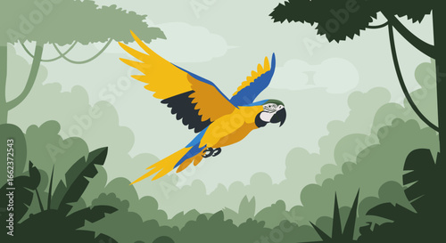 Vibrant macaw in flight over lush jungle wildlife illustration tropical environment aerial view. Vector illustration