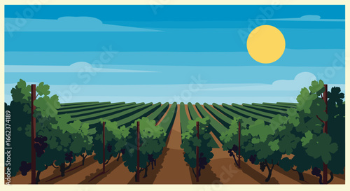 Harvesting grapes in a vineyard under the bright sun scenic landscape nature illustration. Vector illustration