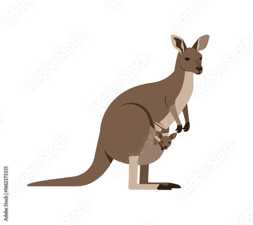 Mother kangaroo with baby in pouch australian wildlife illustration minimalist style cute design. Vector illustration