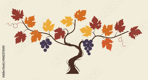 Autumn harvest grapevine art vineyard digital illustration rustic setting aerial view nature concept. Vector illustration