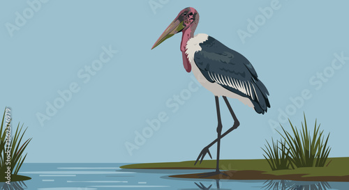 Elegant stork walking by the water's edge in a serene natural landscape illustration. Vector illustration