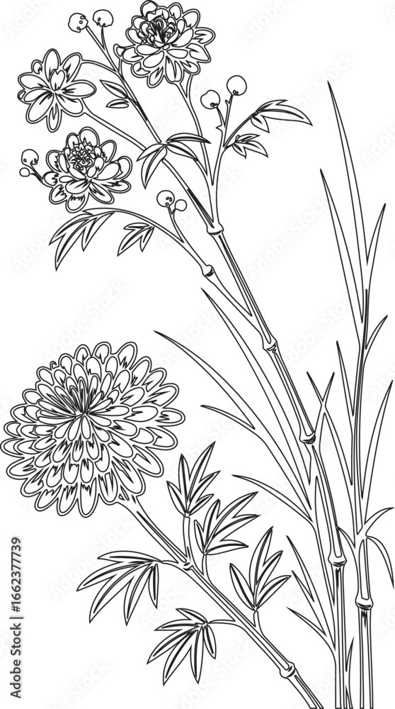 Naklejka premium Chrysanthemum blossom with leaf sketch vector illustration