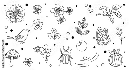 A collection of hand-drawn nature doodles in black and white, featuring flowers, leaves, insects, a bird, and a mushroom.