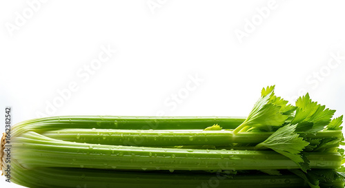 Fresh celery stalks with water droplets, close-up view.