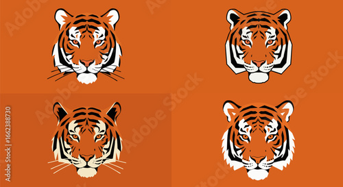 tiger vector illustration
