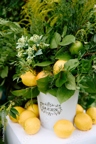 Fresh lemons and green leaves in decorative garden container