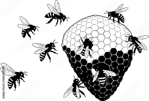  Detailed hand-drawn vector illustration sketch of bees exploring honeycomb structures in a natural setting silohuette