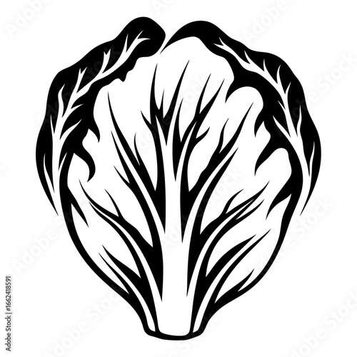 Stylized Black and White Image of Chinese Cabbage with Veinlike Detail
