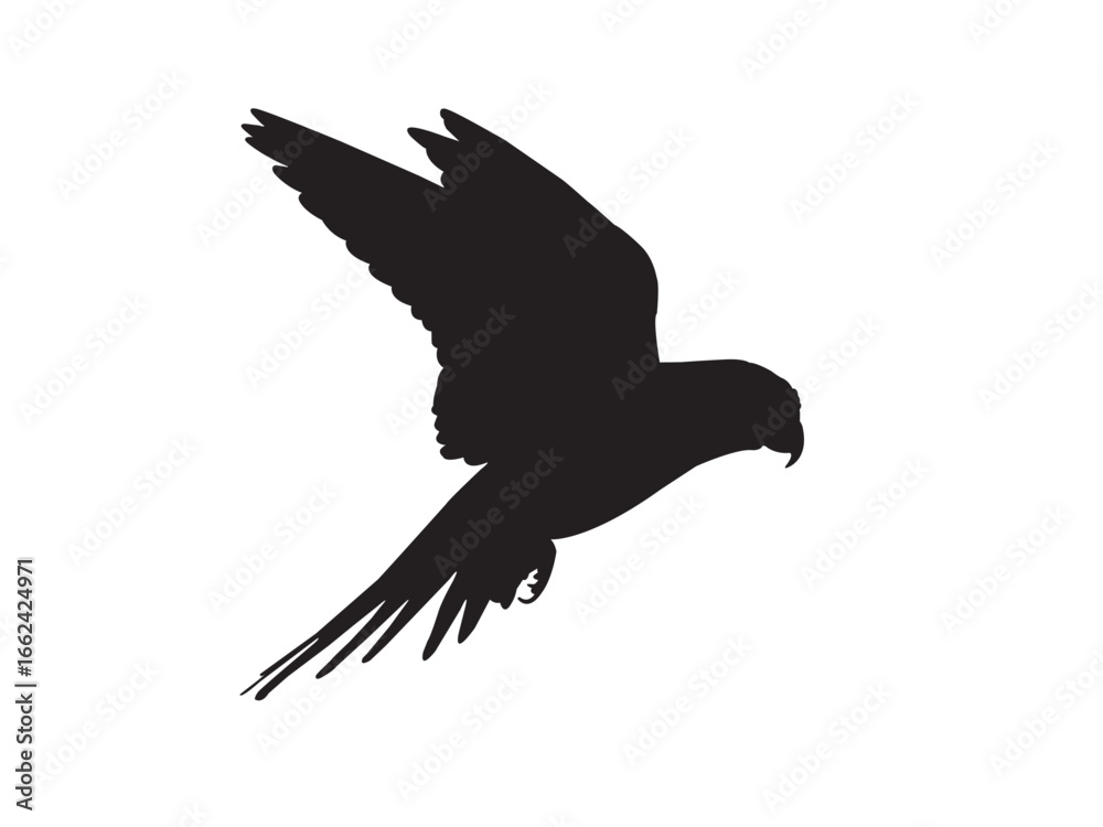 Obraz premium 4_Black_Parrot_Bird_Silhouette_Vector [Converted].eps