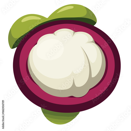 High quality vector illustration of mangosteens prized in markets for creative projects and digital artwork design purposes