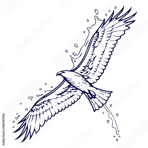 Majestic bird soaring with water splashes eagle hawk