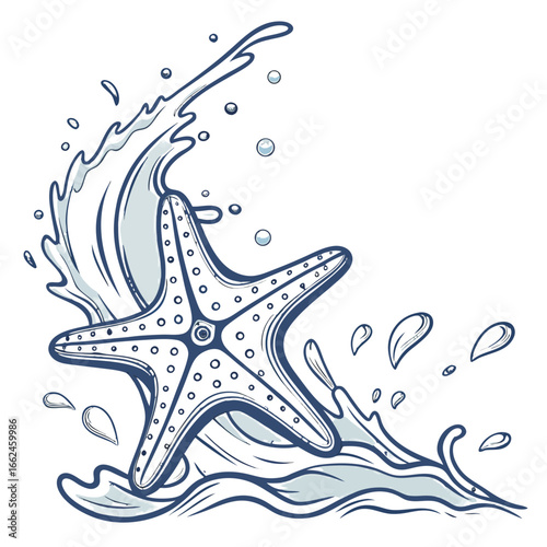 Starfish water splash ocean marine life