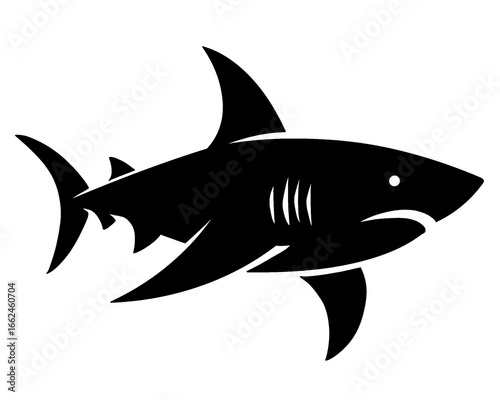 Shark silhouette, vector illustration
