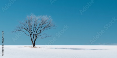 Minimalist winter landscape featuring a single bare tree with thin black branches in a vast white snowfield, 80% pale blue sky, off-center composition, high contrast, clean scene