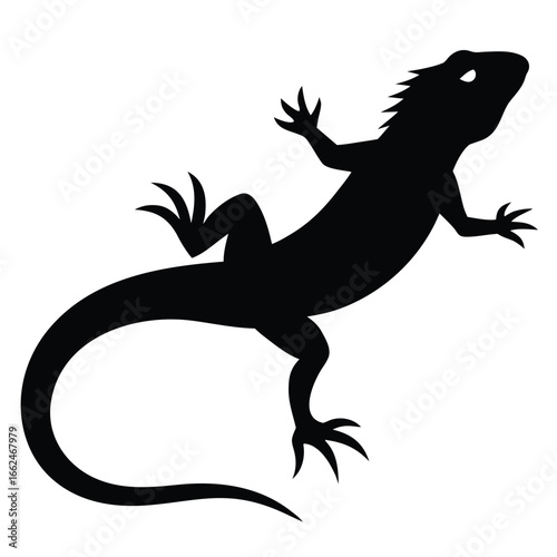 Black lizard silhouette on white background reptile