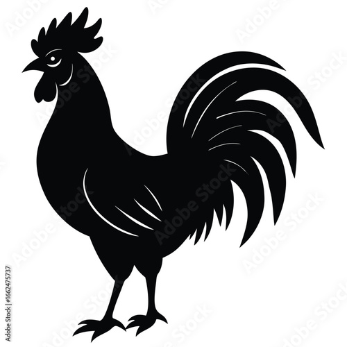 Vector art of black rooster silhouette, a symbol of farm life and rural charm, perfect for adding a touch of rustic elegance