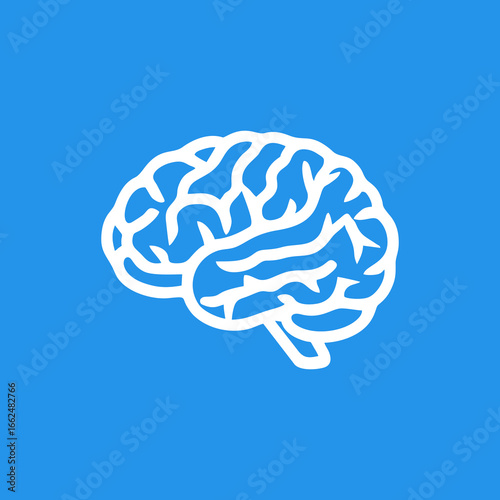 human brain vector
