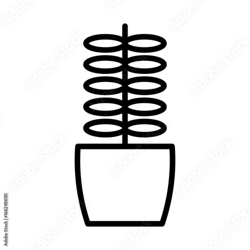 Fern
