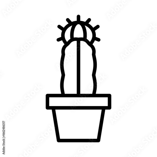 Moon Cactus