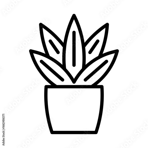 Gasteria