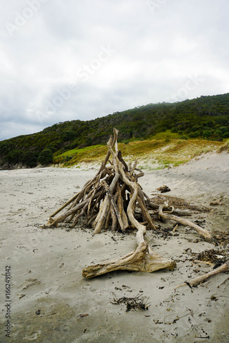 Smugglers Bay, Whangārei Heads, Northland, New Zealand