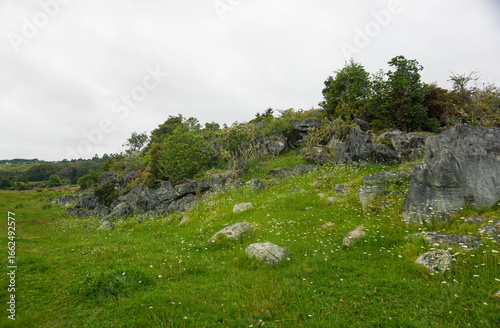 Waro Limestone Scenic reserves, Hikurangi, New Zealand.	