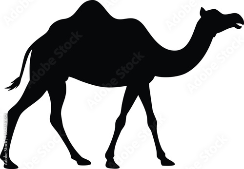 Silhouette of a dromedary camel walking against a white background