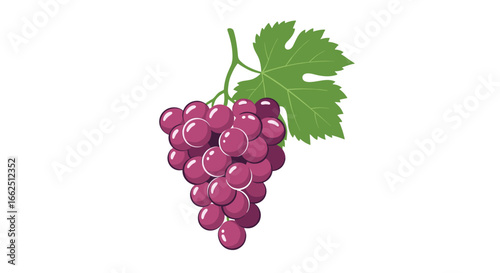 A healthy bunch of ripe purple grapes with a green leaf and stem