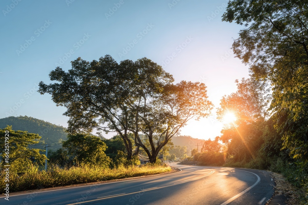 Fototapeta premium Sunny Road Through the Trees