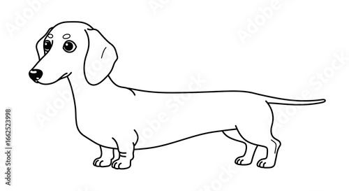 Adorable Outlined Dachshund Portrait A Canine Illustration