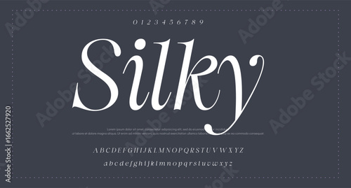 Elegant awesome alphabet letters font and number. unique serif font. Classic Lettering Minimal Fashion Designs. Typography fonts regular uppercase and lowercase. vector illustration
